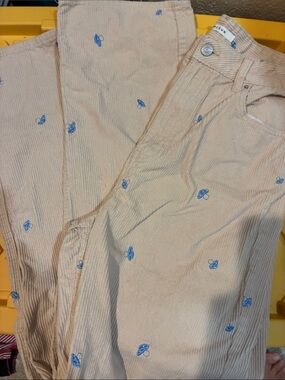 PacSun Beige Corduroy Men’s Pants with Blue Embroidery